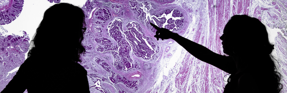 The future of histopathology